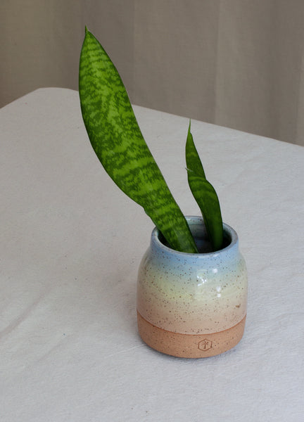 Rainbow Small Vase (Speckled) - Pastel