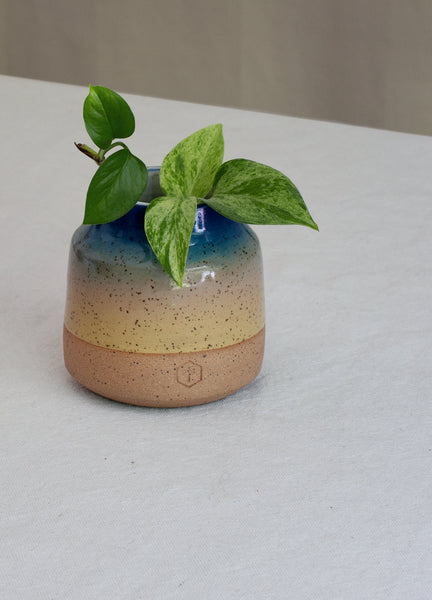 Rainbow Small Vase (Speckled) - Ocean